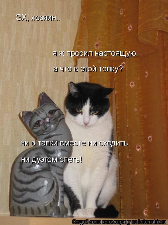ЭХ, хозяин.. я ж просил настоящую.. а что в этой толку? ни в тапки вместе ни сходить ни дуэтом спеть!... Котоматрица: ЭХ, хозяин.. я ж просил настоящую.. а что в этой толку? ни в тапки вместе ни сходить ни дуэтом спеть!