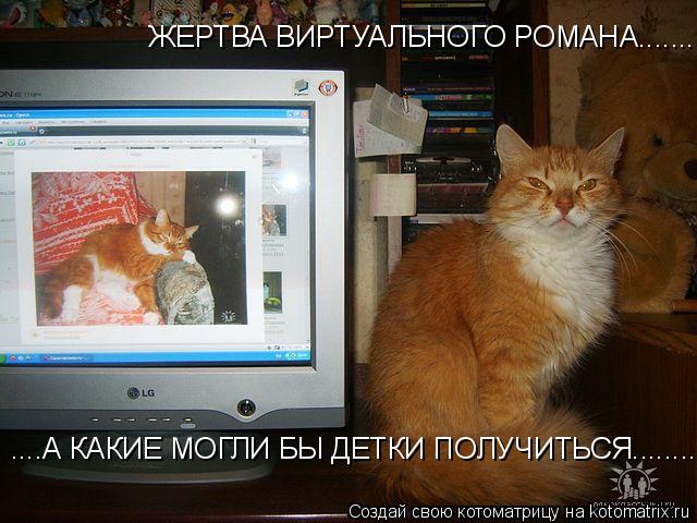 ЖЕРТВА ВИРТУАЛЬНОГО РОМАНА......... ....А КАКИЕ МОГЛИ БЫ ДЕТКИ ПОЛУЧИТЬСЯ........... Котоматрица: ЖЕРТВА ВИРТУАЛЬНОГО РОМАНА......... ....А КАКИЕ МОГЛИ БЫ ДЕТКИ ПОЛУЧИТЬСЯ........