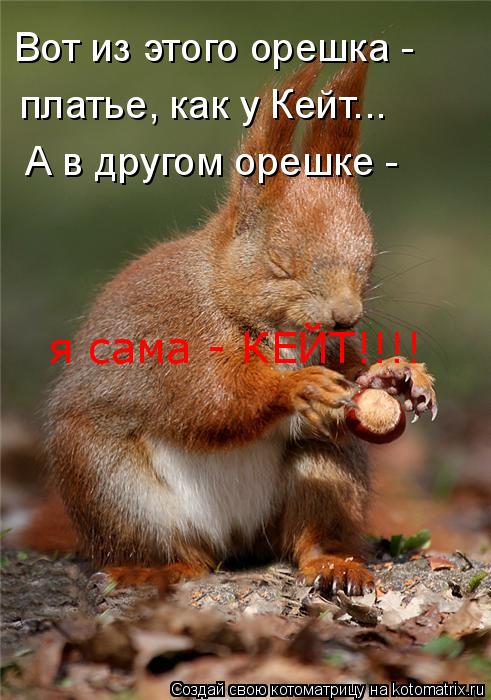 Вот из этого орешка - платье, как у Кейт... А в другом орешке - я сама - КЕЙТ!!!!... Котоматрица: Вот из этого орешка - платье, как у Кейт... А в другом орешке - я сама - КЕЙТ!!!!