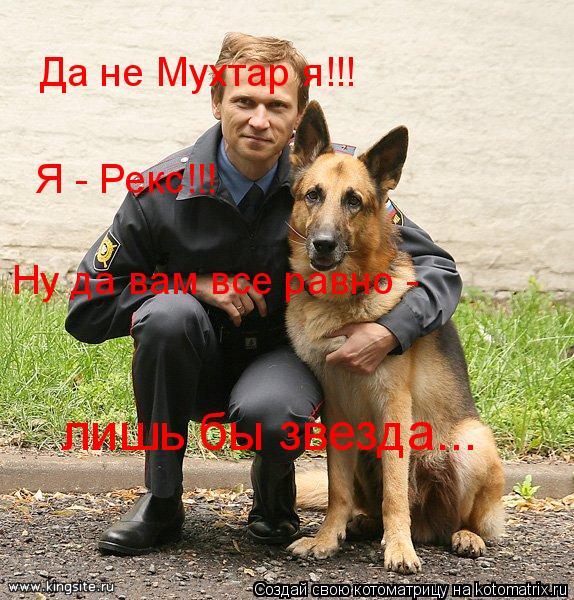 Да не Мухтар я!!! Я - Рекс!!! Ну да вам все равно - лишь бы звезда...... Котоматрица: Да не Мухтар я!!! Я - Рекс!!! Ну да вам все равно - лишь бы звезда...