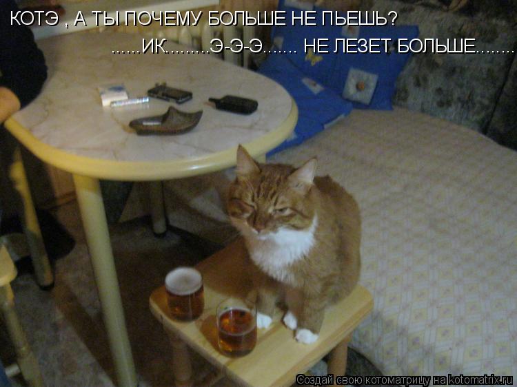 Котоматрица: КОТЭ , А ТЫ ПОЧЕМУ БОЛЬШЕ НЕ ПЬЕШЬ? ......ИК.........Э-Э-Э....... НЕ ЛЕЗЕТ БОЛЬШЕ...........