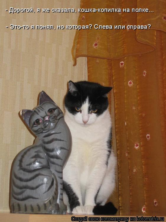 Котоматрица: - Дорогой, я же сказала, кошка-копилка на полке... - Это-то я понял, но которая? Слева или справа?