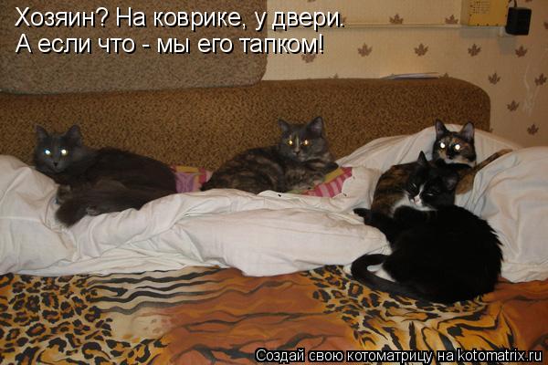 Котоматрица: Хозяин? На коврике, у двери… А если что - мы его веником! Хозяин? На коврике, у двери…  А если что - мы его тапком!