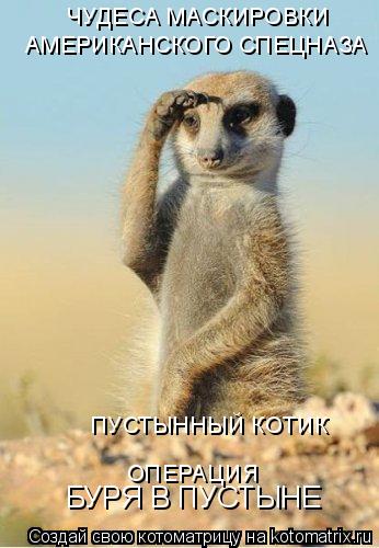 Котоматрица: БУРЯ В ПУСТЫНЕ ОПЕРАЦИЯ ЧУДЕСА МАСКИРОВКИ АМЕРИКАНСКОГО СПЕЦНАЗА ПУСТЫННЫЙ КОТИК