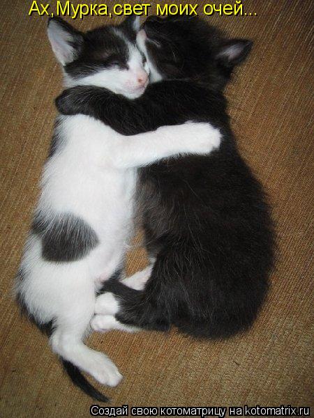 Котоматрица: Ах,Мурка,свет моих очей...