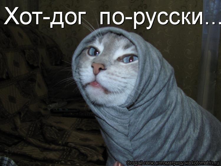 Котоматрица: Хот-дог  по-русски...