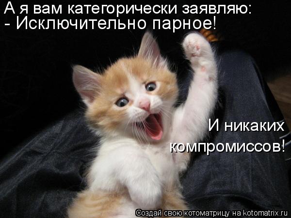 Котоматрица: А я вам категорически заявляю: - Исключительно парное! И никаких компромиссов!