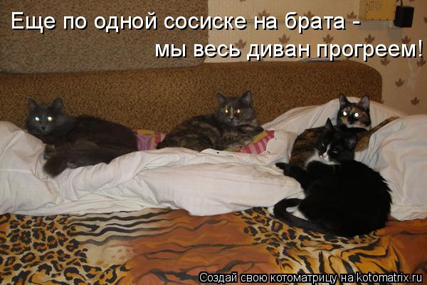 Котоматрица: Еще по одной сосиске на брата -  мы весь диван прогреем!