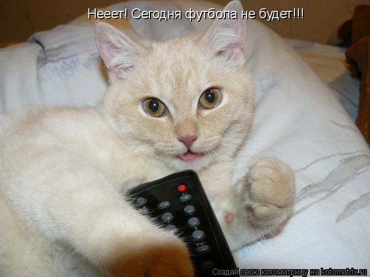 Котоматрица: Нееет! Сегодня футбола не будет!!!