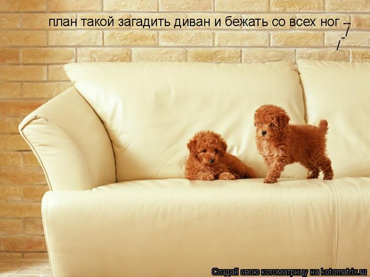 Котоматрица: план такой загадить диван и бежать со всех ног -- / - /