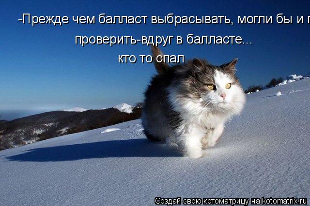 Котоматрица: -Прежде чем балласт выбрасывать, могли бы и проверить-вдруг в балласте...  проверить-вдруг в балласте... кто то спал