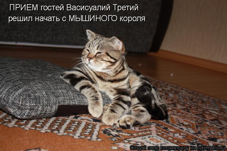 Котоматрица: ПРИЕМ гостей Васисуалий Третий решил начать с МЫШИНОГО короля