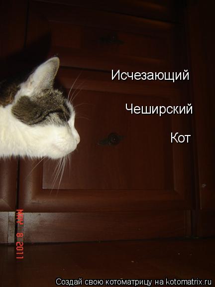 Котоматрица: Исчезающий Чеширский Кот