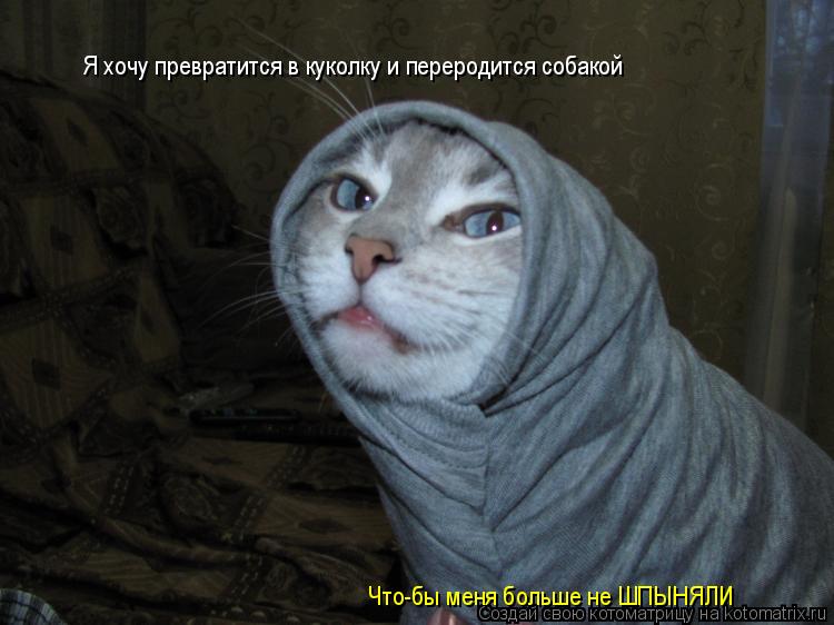 Котоматрица: Я хочу превратится в куколку и переродится собакой Что-бы меня больше не ШПЫНЯЛИ