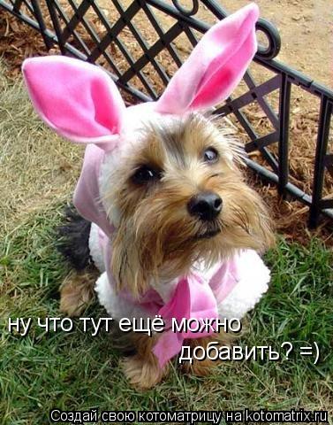 Котоматрица: ну что тут ещё можно добавить? =)