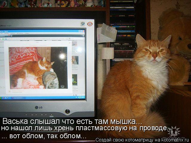 Котоматрица: Васька слышал что есть там мышка... но нашол лишь хрень пластмассовую на проводе... ... вот облом, так облом...