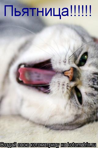 Котоматрица: Пьятница!!!!!!