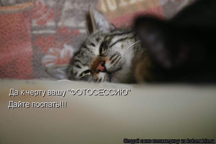 Котоматрица: Да к черту вашу "ФОТОСЕССИЮ" Дайте поспать!!!