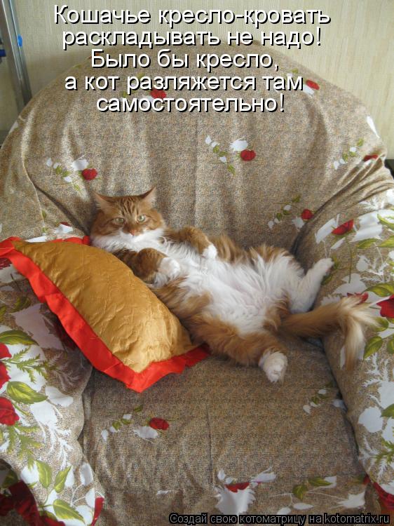 Котоматрица: Кошачье кресло-кровать раскладывать не надо! Было бы кресло, а кот разляжется там  самостоятельно!