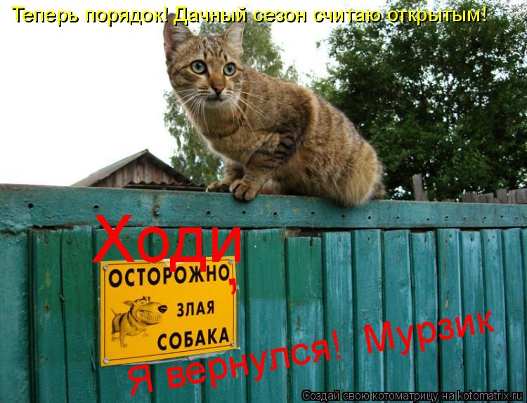 Котоматрица: , Ходи Я вернулся!  Мурзик Теперь порядок! Дачный сезон считаю открытым!