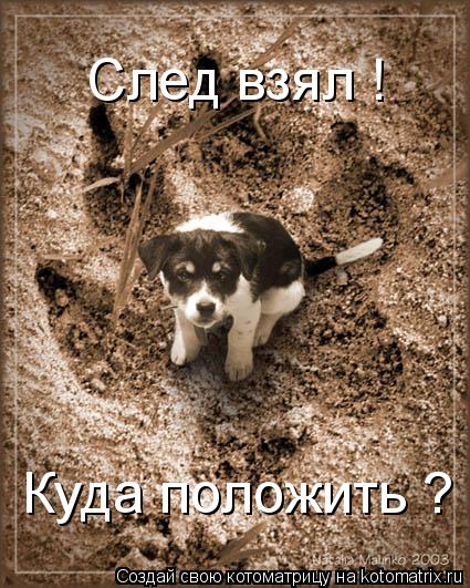 Котоматрица: След взял ! Куда положить ?