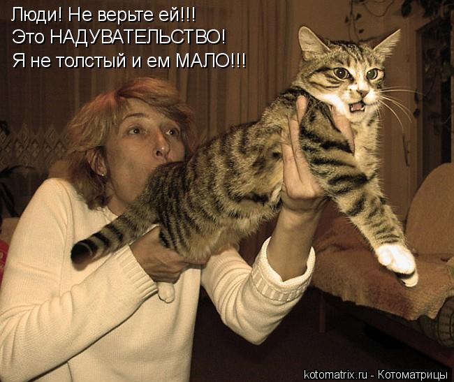 Котоматрица: Люди! Не верьте ей!!!  Это НАДУВАТЕЛЬСТВО!  Я не толстый и ем МАЛО!!!