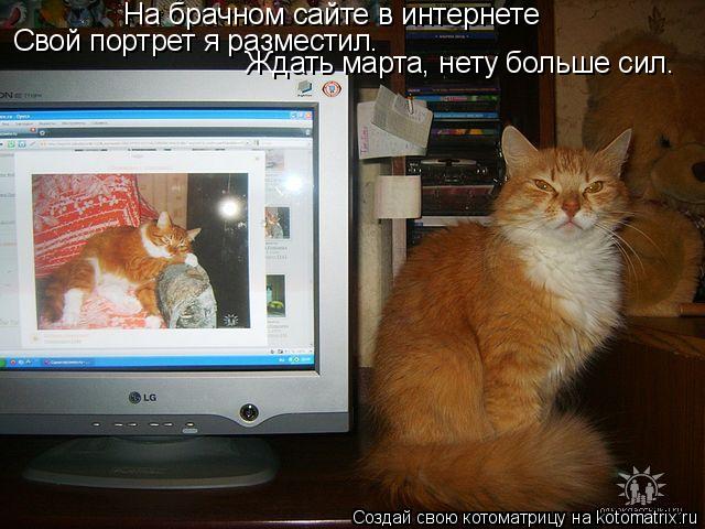 Котоматрица: На брачном сайте в интернете Свой портрет я разместил. Ждать марта, нету больше сил.