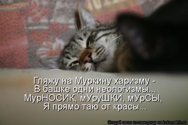 Котоматрица: Гляжу на Муркину харизму -  В башке одни неологизмы... МурНОСИК, мУруШКИ, мУрСЫ, Я прямо таю от красы...