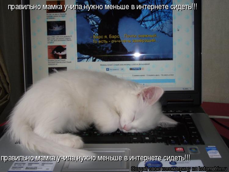 Котоматрица: правильно мамка учила,нужно меньше в интернете сидеть!!! правильно мамка учила,нужно меньше в интернете сидеть!!!