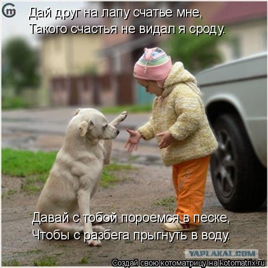 Котоматрица: Дай друг на лапу счатье мне, Такого счастья не видал я сроду. Давай с тобой пороемся в песке, Чтобы с разбега прыгнуть в воду.
