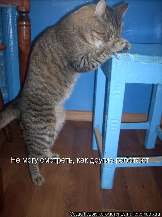 Котоматрица: Не могу смотреть, как другие работают