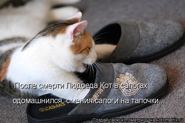 Котоматрица: После смерти Людоеда Кот в сапогах одомашнился, сменил сапоги на тапочки...