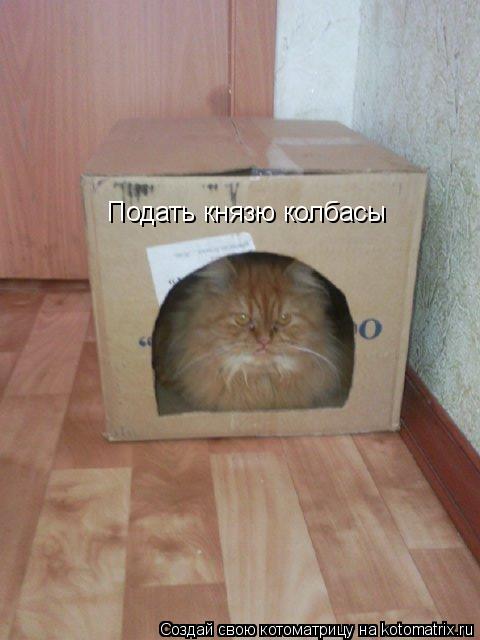Котоматрица: Подать князю колбасы
