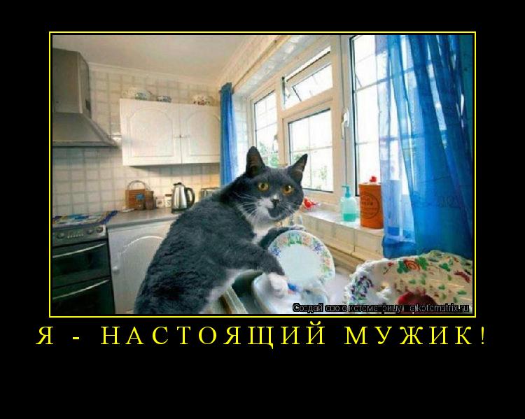Я - настоящий мужик! ... Котоматрица: Я - настоящий мужик!