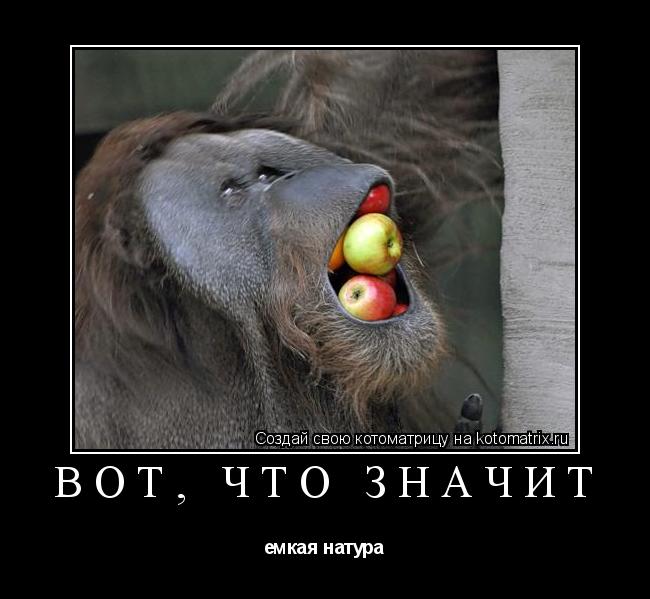 Котоматрица: Вот, что значит  емкая натура