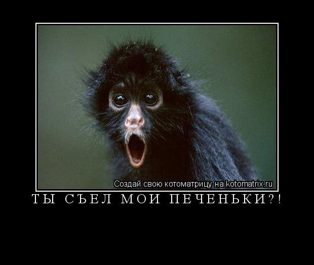 Ты Съел Мои печеньки?! ... Котоматрица: Ты Съел Мои печеньки?!