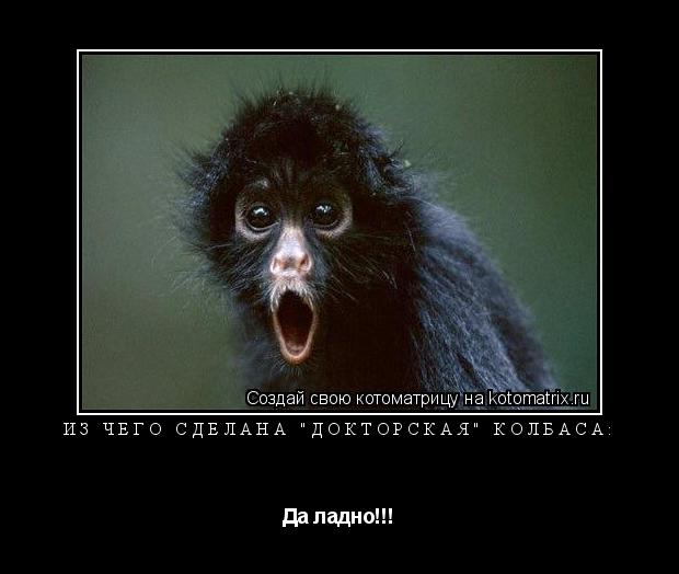 Котоматрица: Из чего сделана "Докторская" колбаса: Да ладно!!!