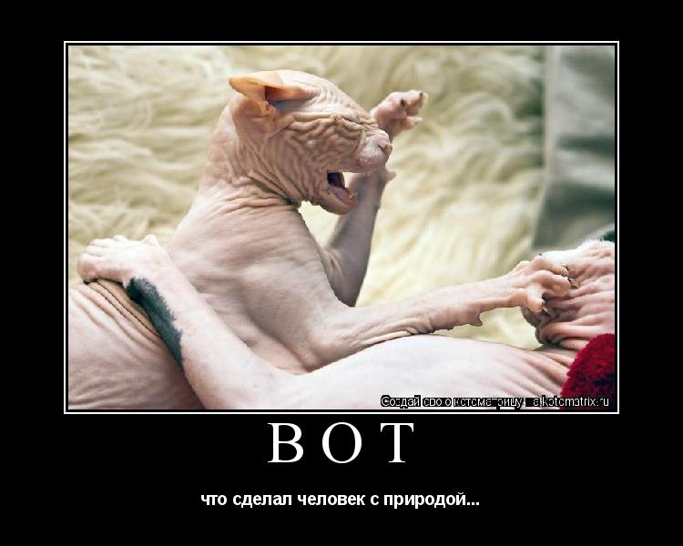 Вот что сделал человек с природой...... Котоматрица: Вот что сделал человек с природой...
