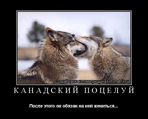 Канадский поцелуй После этого он обязан на ней жениться...... Котоматрица: Канадский поцелуй После этого он обязан на ней жениться...