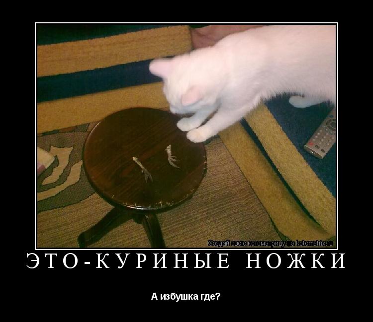 Котоматрица: Это-куриные ножки А избушка где?