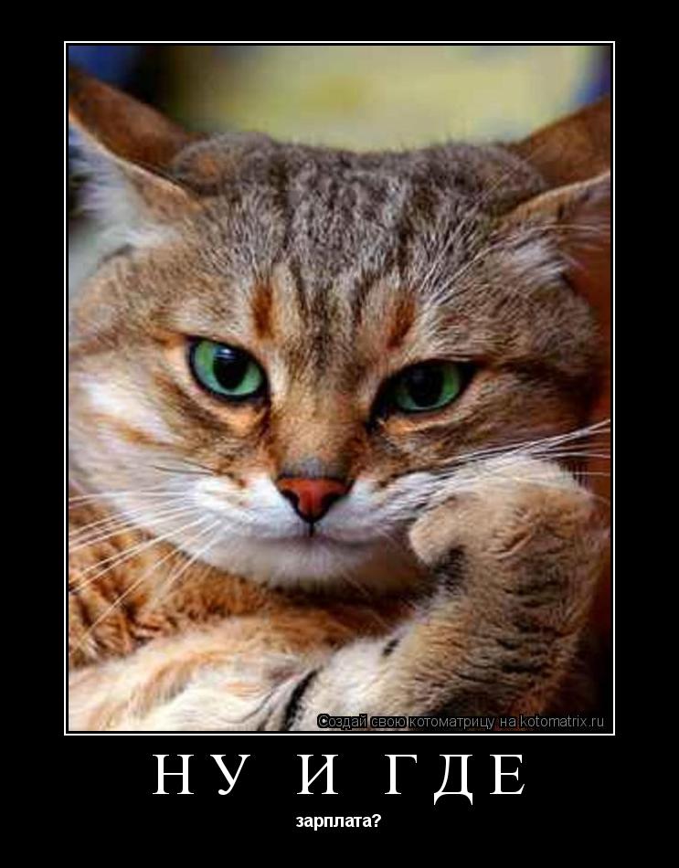 Ну и где зарплата?... Котоматрица: Ну и где зарплата?