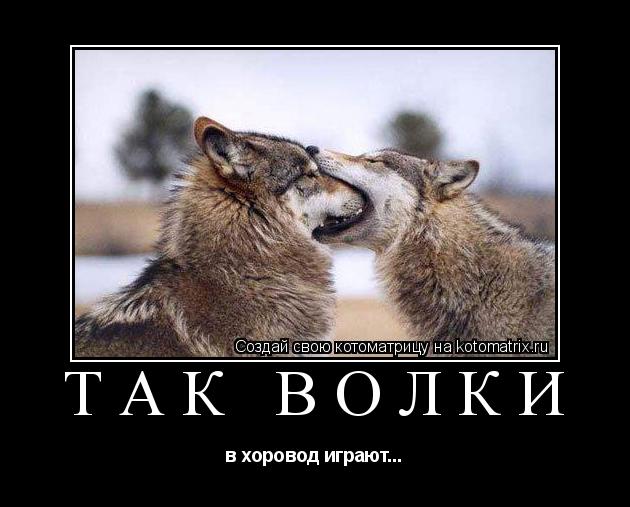 Так волки в хоровод играют...... Котоматрица: Так волки в хоровод играют...