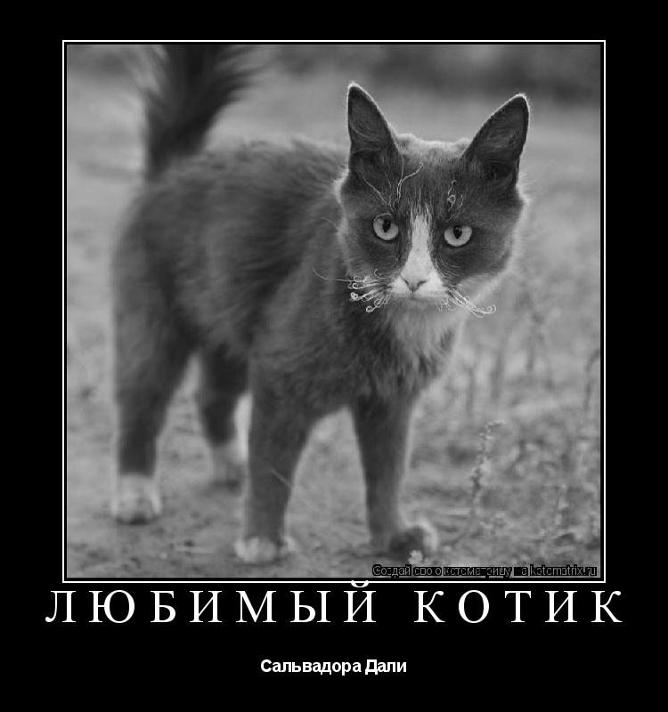 Котоматрица: Любимый котик Сальвадора Дали