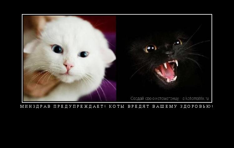 Котоматрица: Минздрав предупреждает! Коты вредят вашему здоровью! 