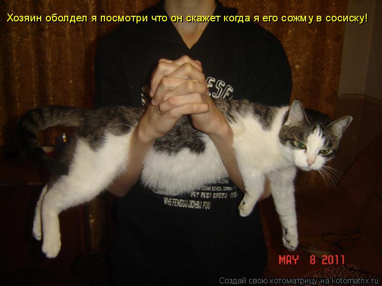 Котоматрица: Хозяин оболдел я посмотри что он скажет когда я его сожму в сосиску! Хозяин оболдел я посмотри что он скажет когда я его сожму в сосиску!