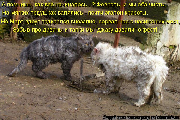 А помнишь, как всё начиналось...? Февраль, и мы оба чисты, На мягких подушках валялись - почти этало... Котоматрица: А помнишь, как всё начиналось...? Февраль, и мы оба чисты, На мягких подушках валялись - почти эталон красоты. Но Март вдруг подкрался внезап