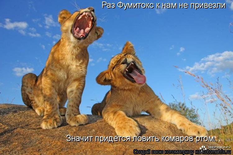 Котоматрица: Раз Фумитокс к нам не привезли Значит придётся ловить комаров ртом...