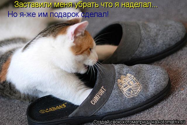 Котоматрица: Заставили меня убрать что я наделал... Но я-же им подарок сделал!