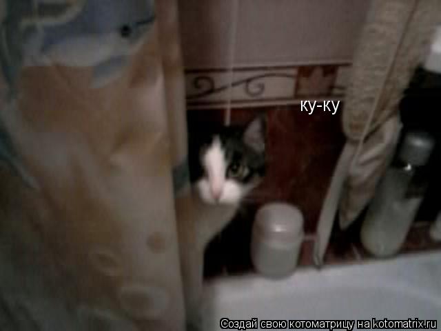 Котоматрица: ку-ку
