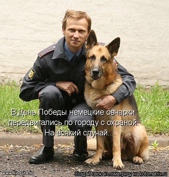 Котоматрица: В День Победы немецкие овчарки передвигались по городу с охраной. На всякий случай...